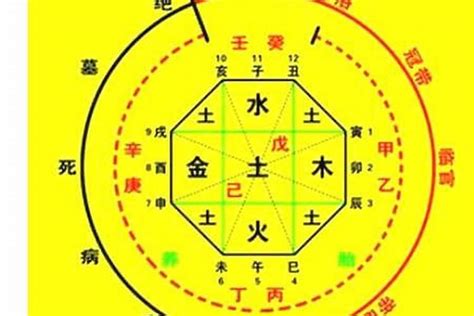 八字 命主|生辰八字算命、五行喜用神查询（免费测算）